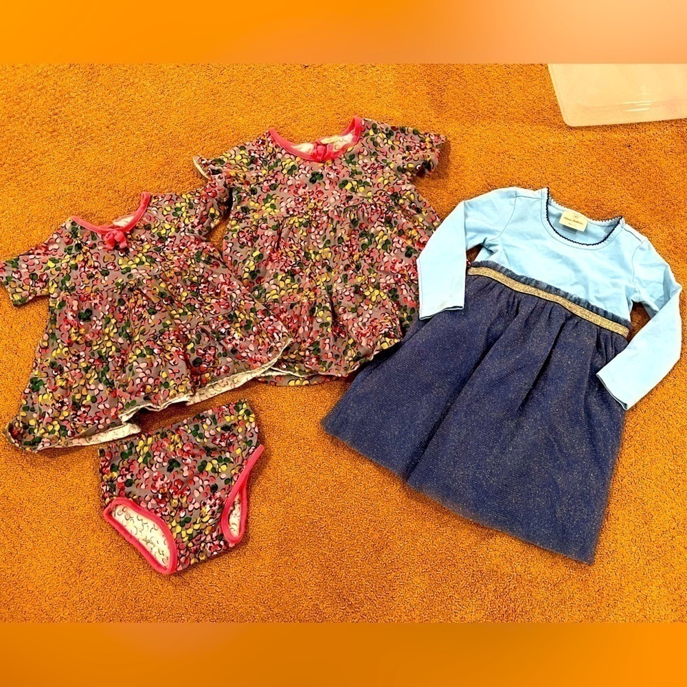 Bundle of 3 Hanna Andersson Dresses Multiple Sizes Floral and Sparkles